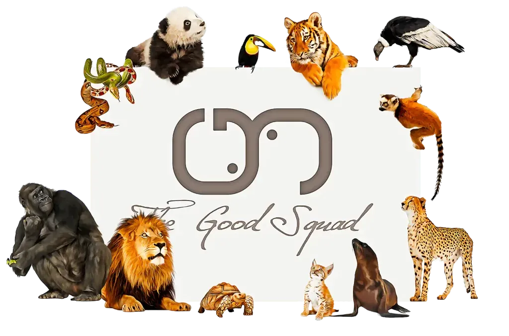 La communication animale fonctionne pour tous les animaux, dans toutes les situations