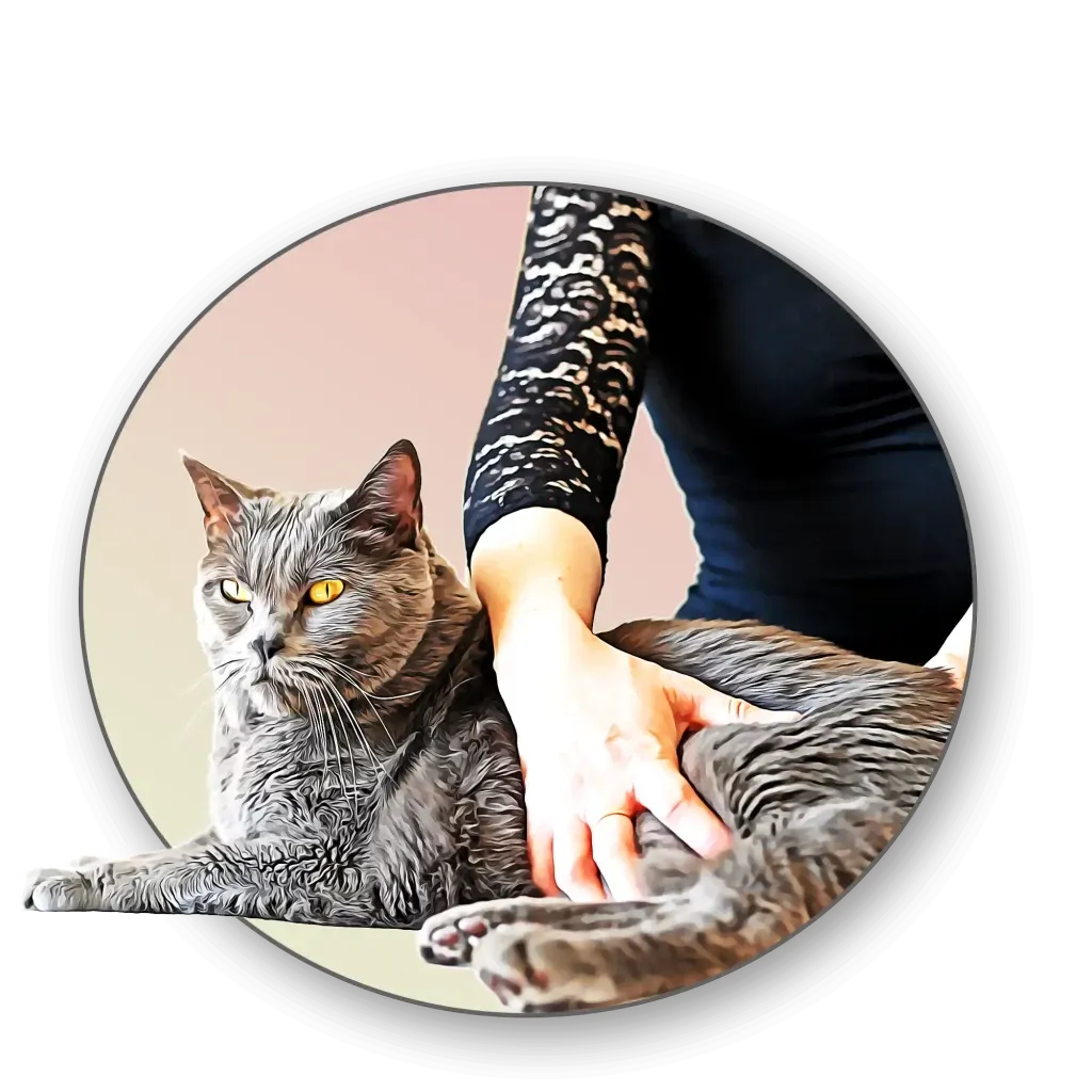 Illustration du soin quantique pour animal